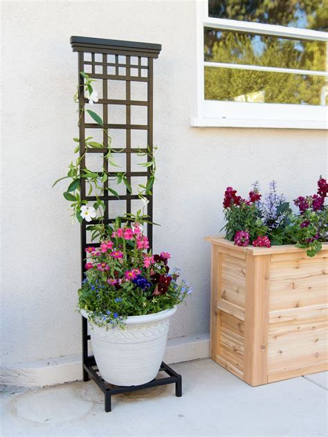 indoor plant trellis|inside trellis for house plants.